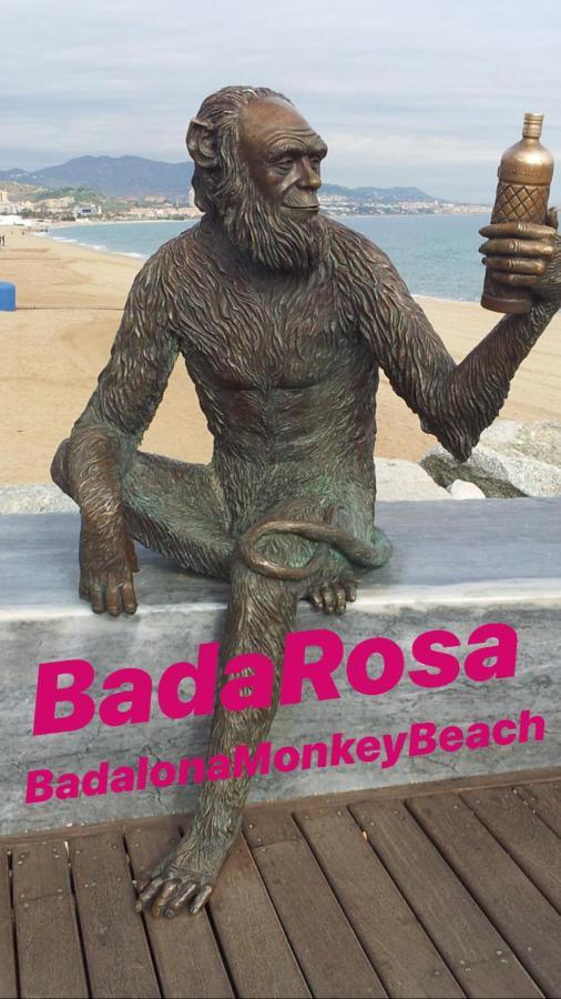 Badarosa 2 House10Min To Barceloncity&Nearto Beach بادالونا المظهر الخارجي الصورة